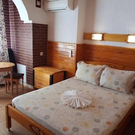 Гостевой дом Doctor's House 3*