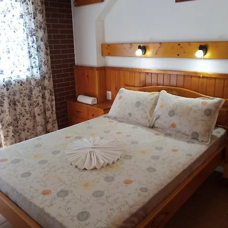 Doctor's House 게스트하우스