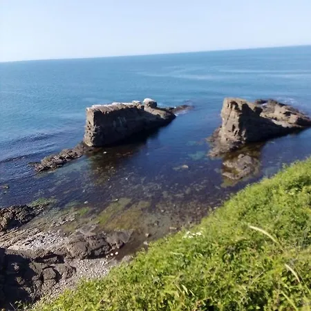 Gasthof Doctor's House 3*