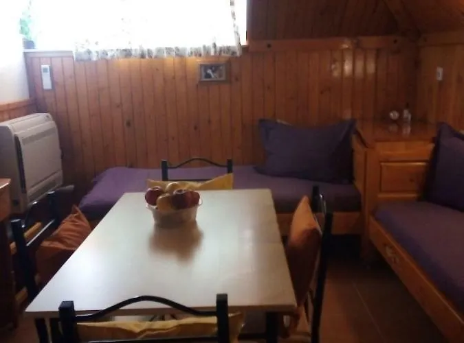 Doctor's House Sinemoretz