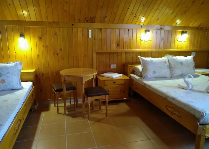 Doctor's House