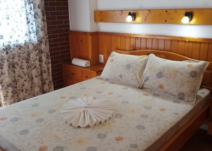 Doctor's House Πανσιόν